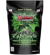 AGC アシストフロン12 250g 10本セット Amazon.com : Xtreme Gardening AZOS 2 oz – Beneficial Nitrogen