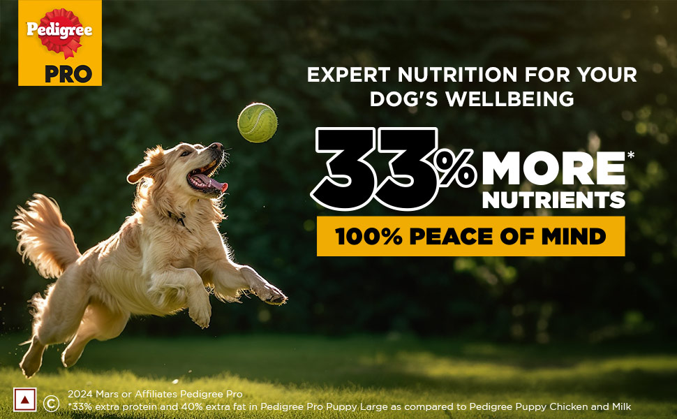 Pedigree Pro SB Adult 5