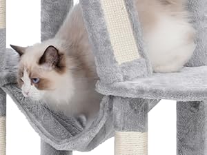 cat tree