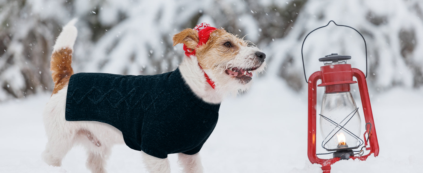 BINGPET Dog Sweater,Warm Turtleneck Dog Sweaters for Large