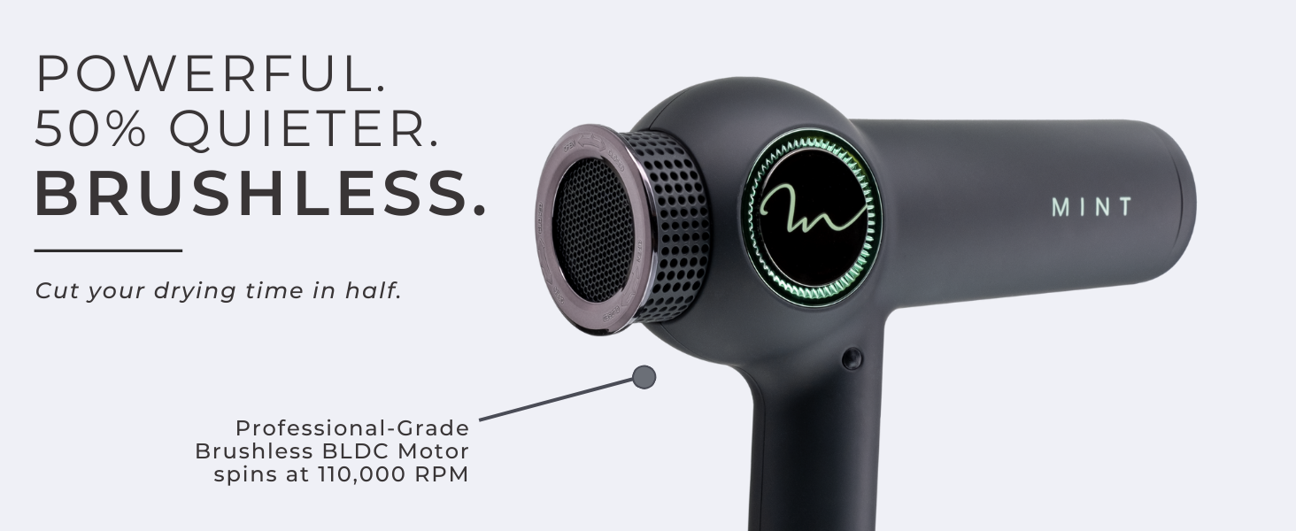 brushless hair dryer
