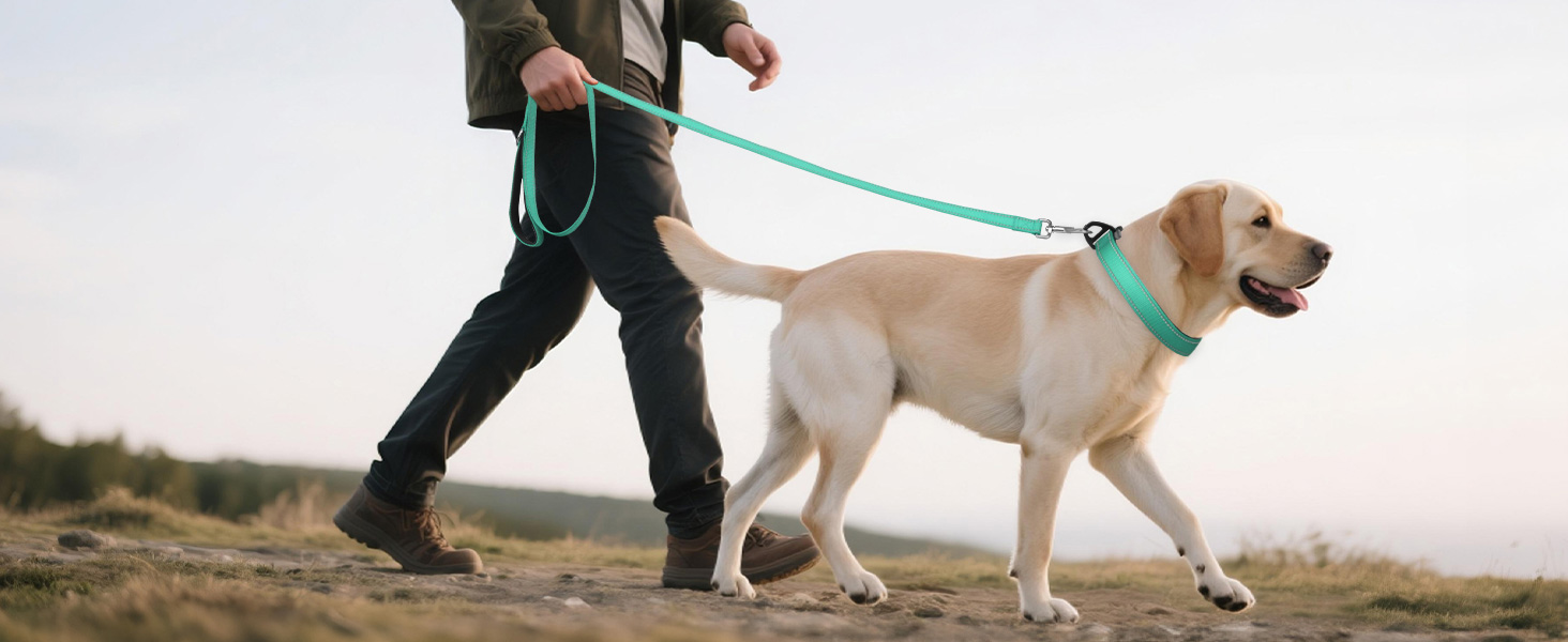 dog collar size chart