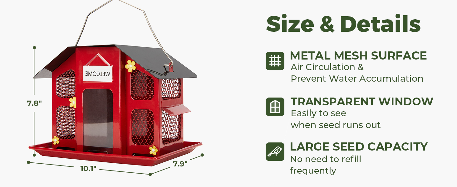 bird feeder
