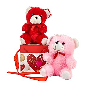 valentine day gift