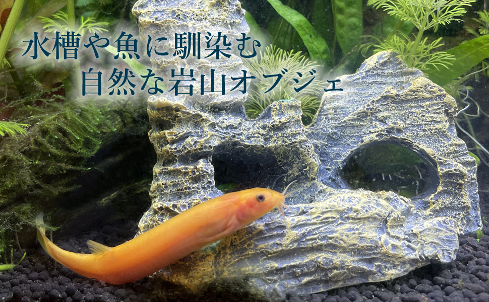 アクアローチ アクアリウム オブジェインテリア岩山 Amazon | AquaLoach アクアローチ アクアリウム オブジェ 水槽