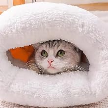 Cat napping inside warm snugglebag