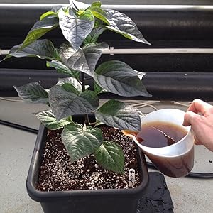 Small manufacture image 4