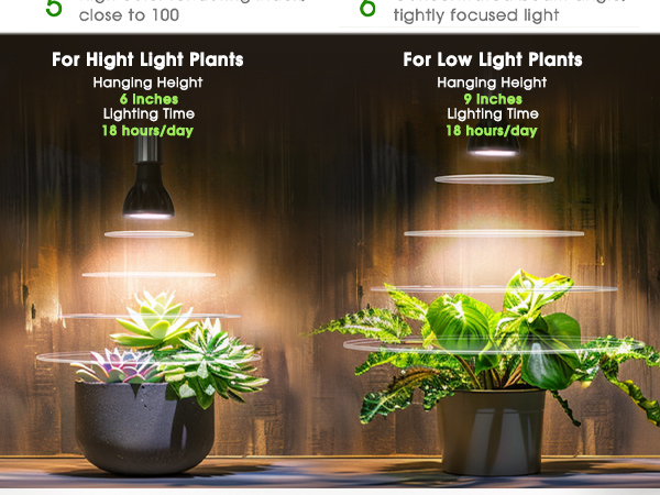 Brighte ELEKIBRUSH・ELEKILOTION Amazon.com : Briignite Grow Light Bulbs, 10W Plant Light