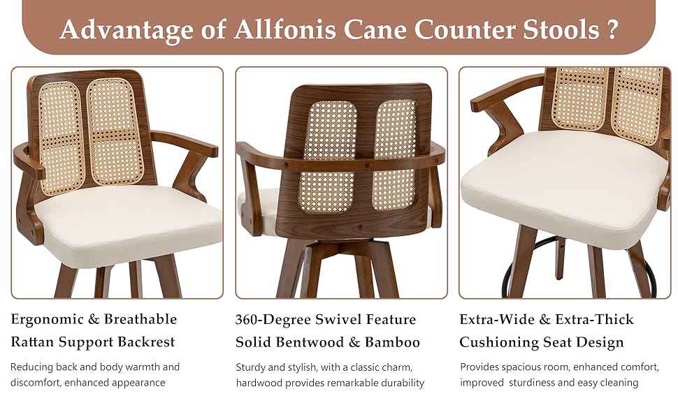 Set of 1 Mid Century Modern Counter Stool 27 inch Swivel