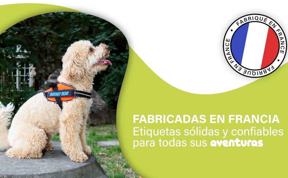 Pack of 2 Tactical Dog Harness Tags - 2 Self-Gripping Patches Compatible with Julius, OneTigris, Rabbitgoo... Original Safety Accessory (11 x 3 cm) 12 3