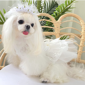 Amazon | Yurika 犬 ウエディングドレス 手作り犬服 華やか