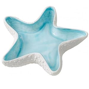 インテリア や 置物にピッタリな貝殻 楽天市場】貝殻 インテリア（素材（インテリア）ガラス