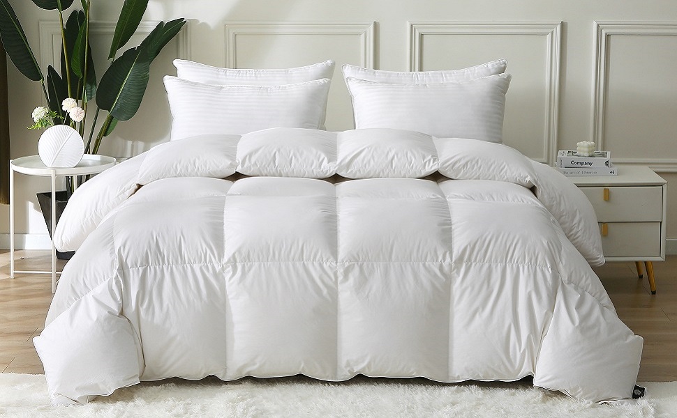 BPC Queen Size Feather Comforter - Fluffy and Luxurious All Season Duvet Insert
| BPC Queen Size Feather Comforter - F3826e1a C779 46f3 93ac 444403d8d2de. CR0,0,970,600 PT0 SX970 V1