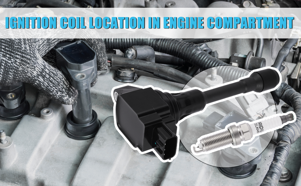 TAUTOY UF549 Ignition Coil 9029 Spark Plug