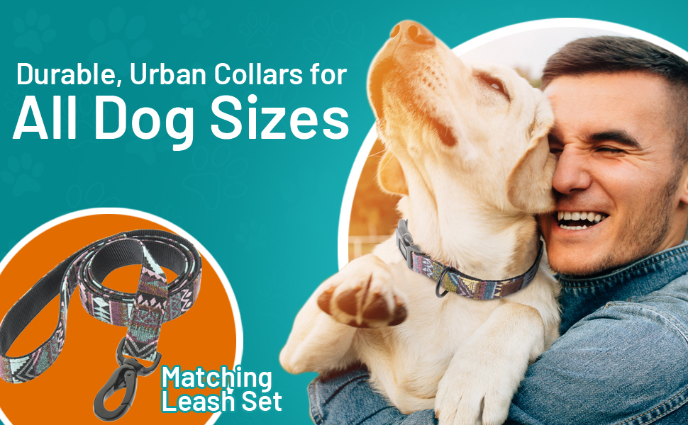 Embark Urban Dog Collars with Soft Padded Neck, Matching Set with Urban