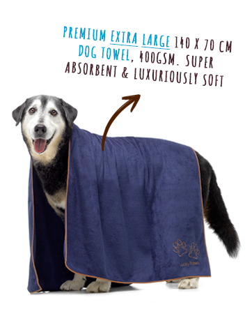 dog towel coat dogs puppy drying coats microfibre dressing towels gown pet blankets bathrobe robe