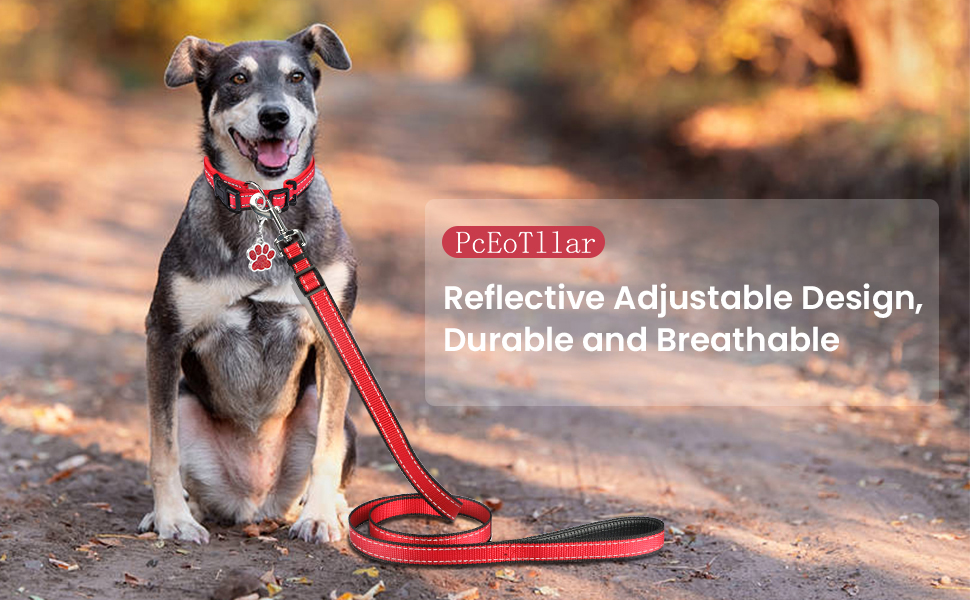 Soft Dog Collar and Lead Set 5FT/1.5M with Tag Reflective Adjustable