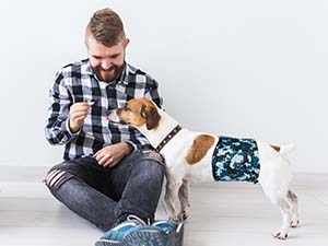 Small manufacture image 3