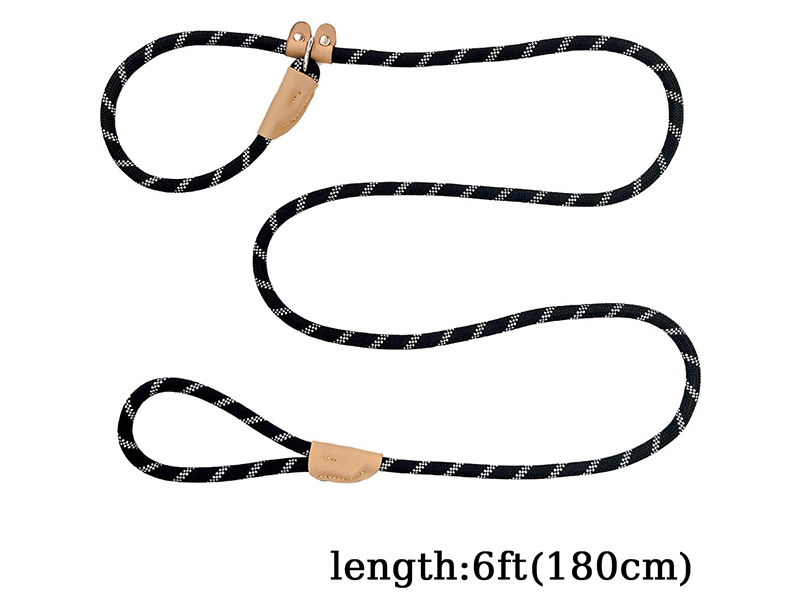 slip leads for dog