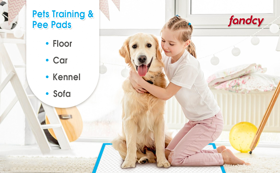 Fandcy Large Dog Pee Pads 200Count, 60x60cm Thicken Disposable Dog