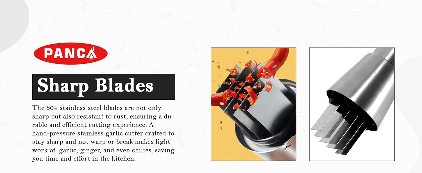 Stainless Steel Garlic Chopper