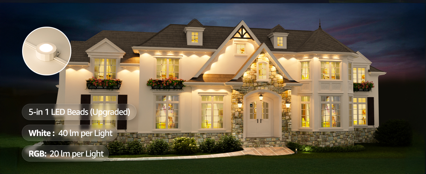 outdoor christmas lights for house roof