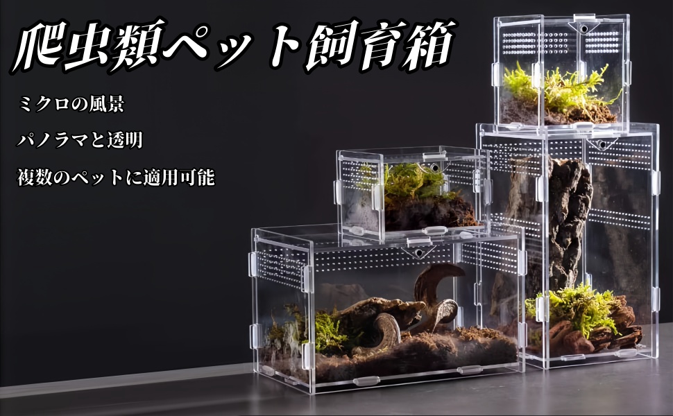 ★爬虫類飼育用品・器具 ☆セット販売☆★ Amazon.co.jp: GEX EXOTERRA レプテリア レオパ飼育キットM