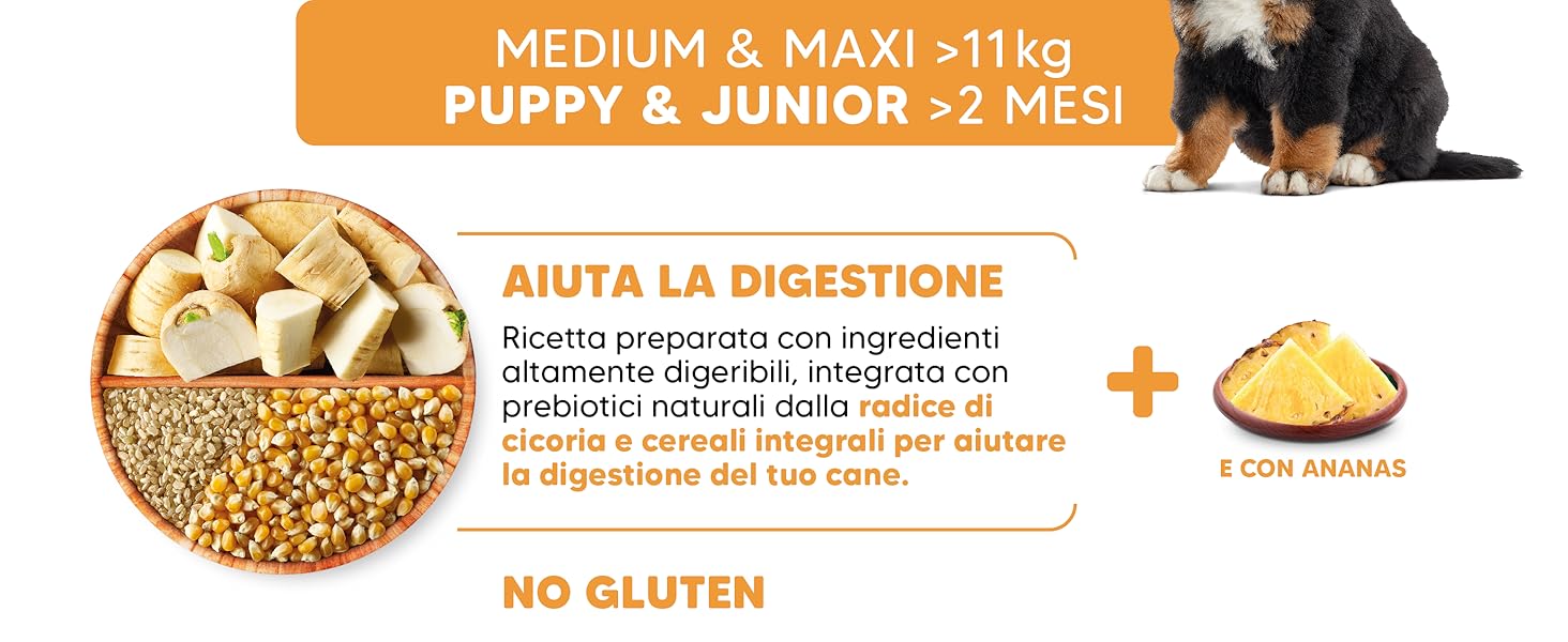 Il testo recita «AUTA LA DIGESTION» «SENZA GLUTINE». Pannello informativo sul prodotto con indicazioni dietetiche o nutrizionali con icone e testo.