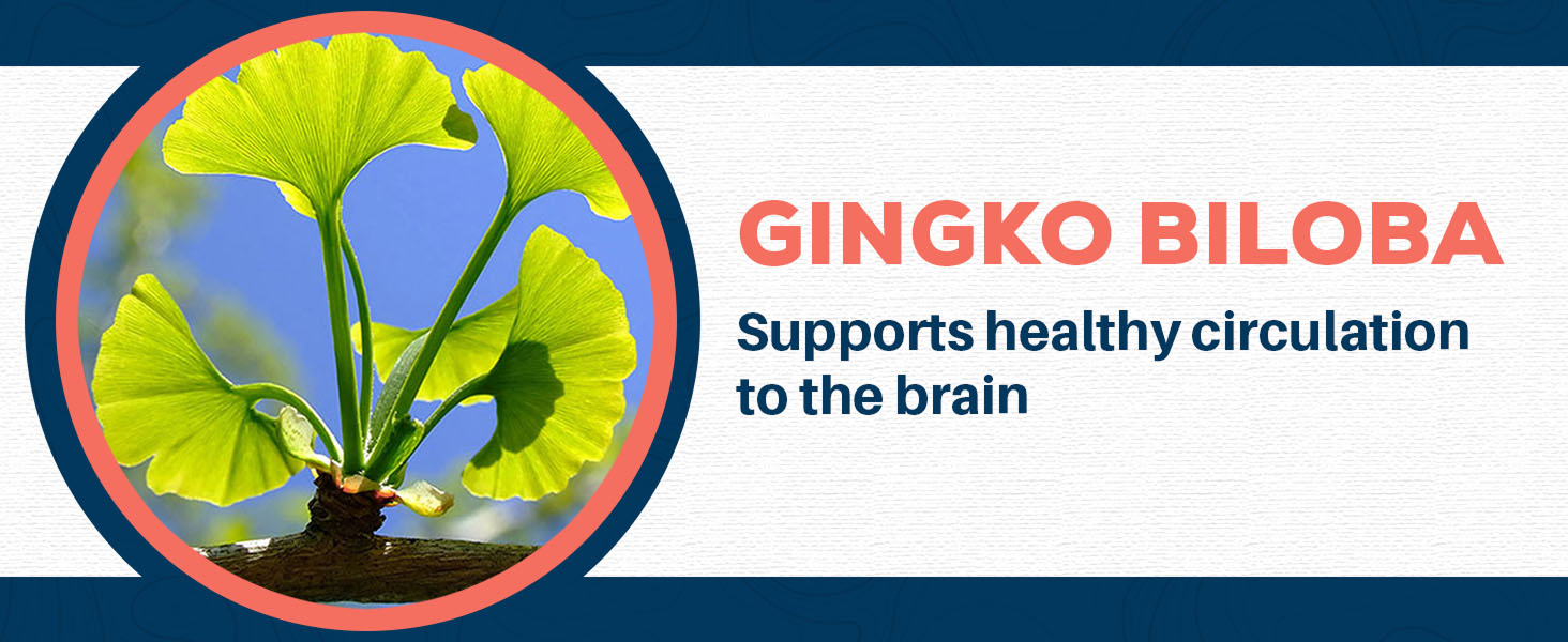 supplements extract bacoba 345 mg bacopin bicopa monnier bocopa vitamin brahmi bacomind herb