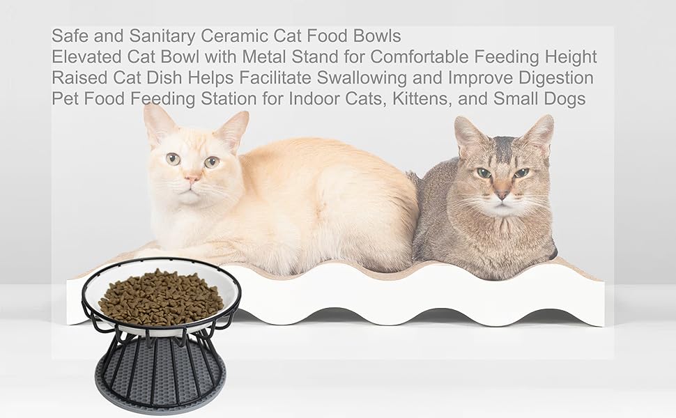 Elevated Cat Food Bowl, WhiskerFriendly AntiVomit Cat Plate, Cat Bowl