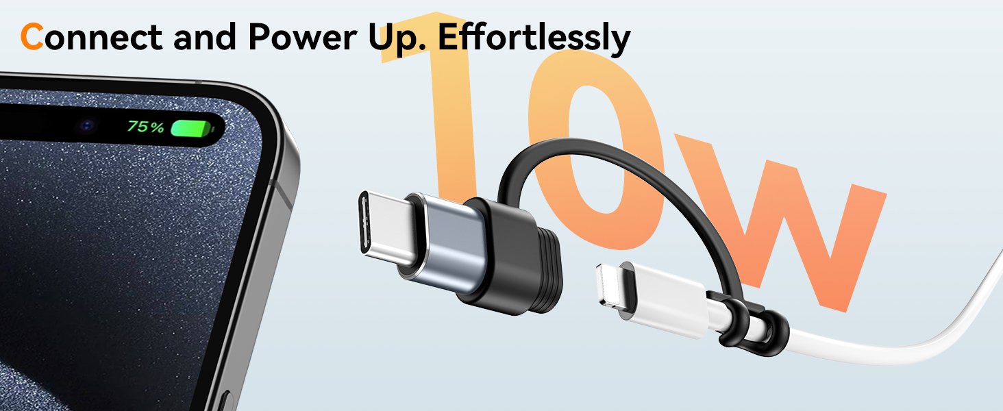 Lightning to USB C Adapter