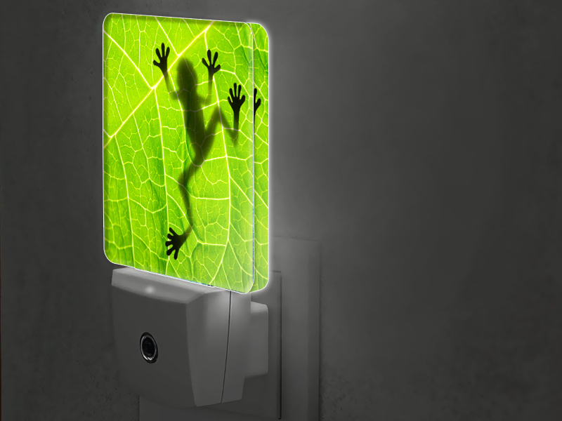 night lights plug into wall