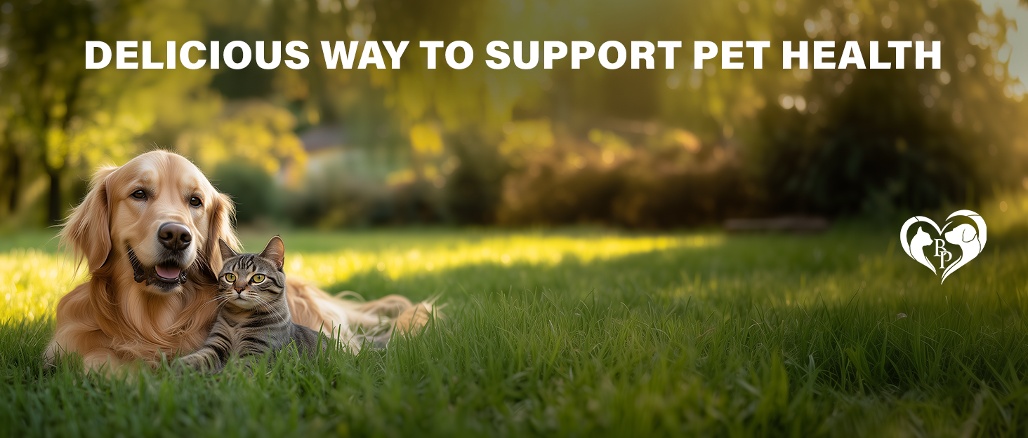 natural supplement chews support calming hip joint allergy flea tick defense cats dogs