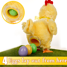 Talking Walking Chicken