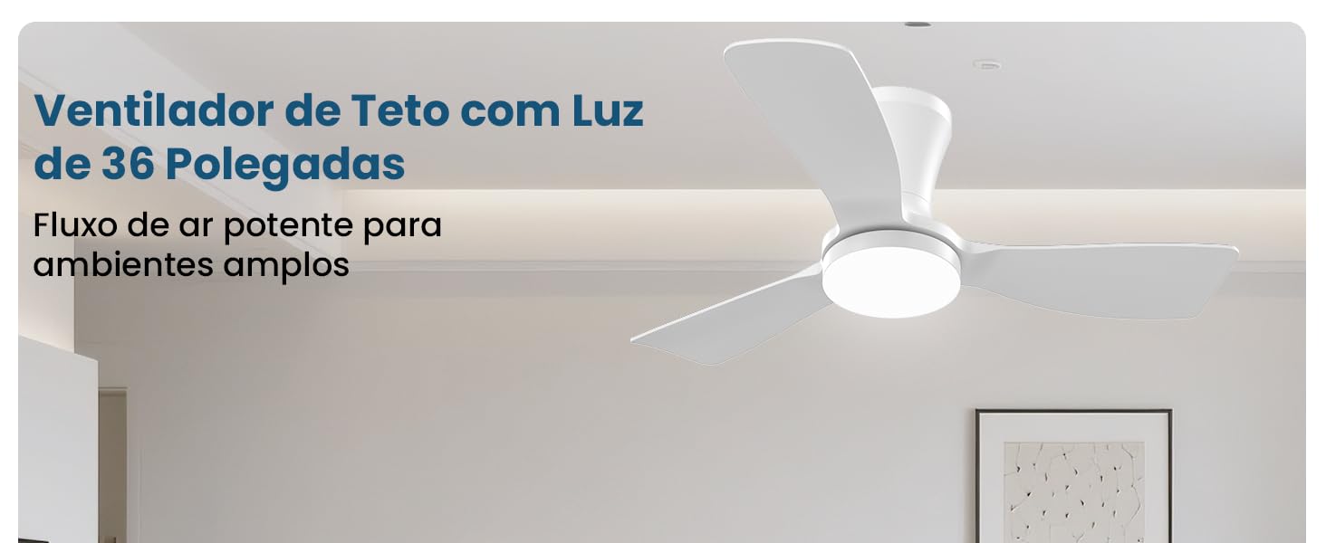 Ventilador de Teto