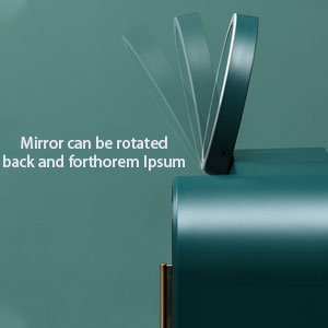 LED light makeup mirror