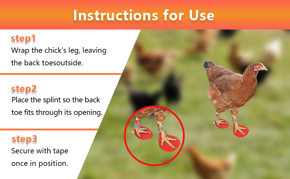 , Goslings, and Juvenile Birds | Adjustable &amp; Easy to Use