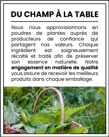 avec texte français « Du Champ à la Table » représentant des herbes fraîchement récoltées dans un panier en osier sur fond de feuillage vert