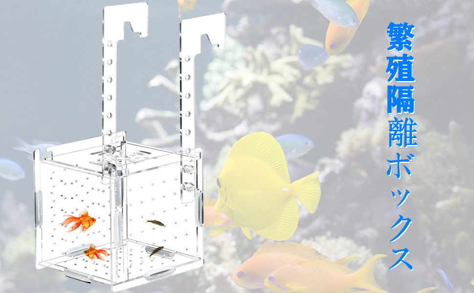 Egg Case, Aquarium Isolation Case, Shrimp, Fish, Breeding Isolation Box, Multi-functional, Transparent Medica Hatchable Egg Box, Goopy, Fish, Isolated