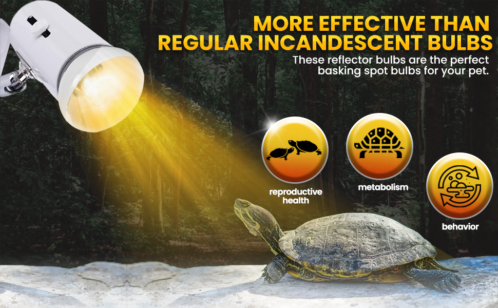 CALPALMY (4Pack 100W Reptile Heat Lamp Bulbs UVA