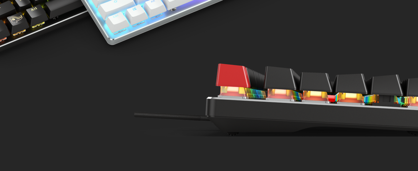 Glorious Gaming GMMK, Mechanisches Gaming-Keyboard, Gateron Brown Schalter, Doubleshot-Kappen