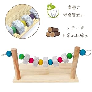かじり木 予約専用品 Amazon | Gifty チンチラ ステージ 木製 大きい コーナー