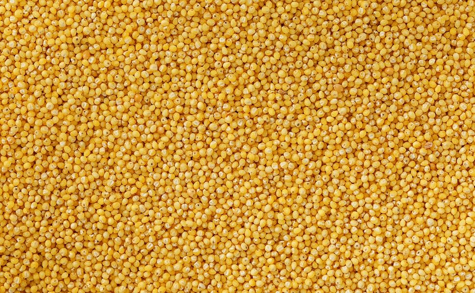 Be Still Farms Organic Hulled Millet Grain (5.8lb) Whole