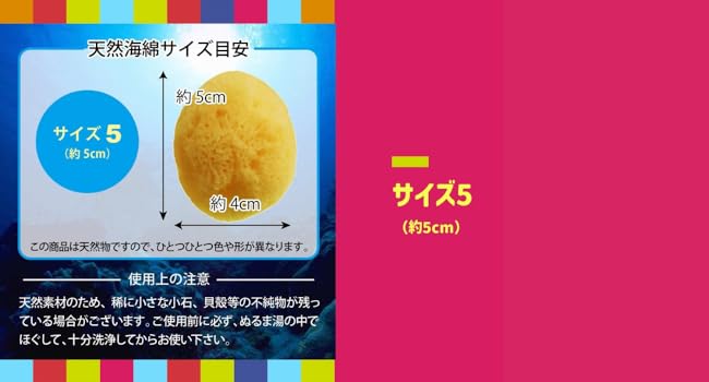 Amazon.co.jp: toysfan トイズファン 天然海綿 1袋5個入り 約5cm