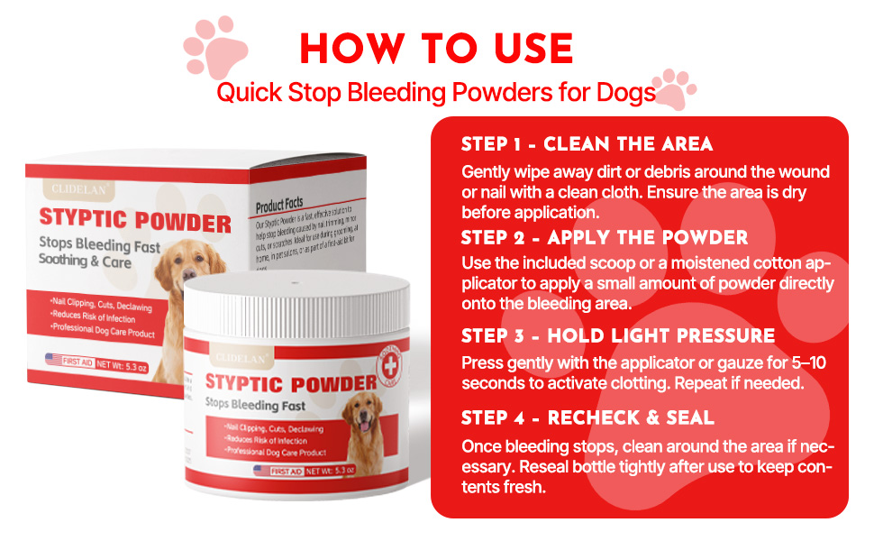 dog camping essentials