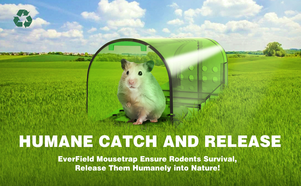 Effective Strategies for Using a Humane Trap to Rescue Your Lost Cat