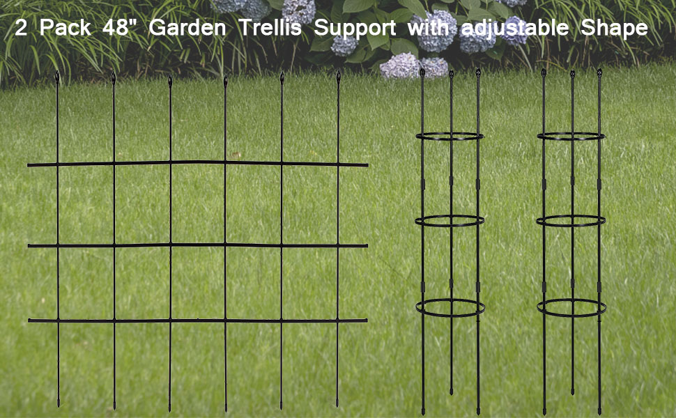 garden trellis