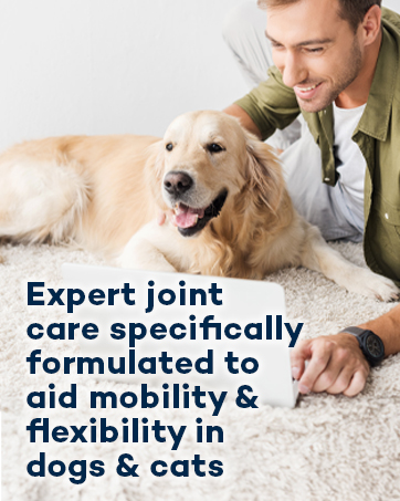 Pet joint care product advertisement featuring a golden retriever and text about mobility and flexibility aid for dogs and cats.