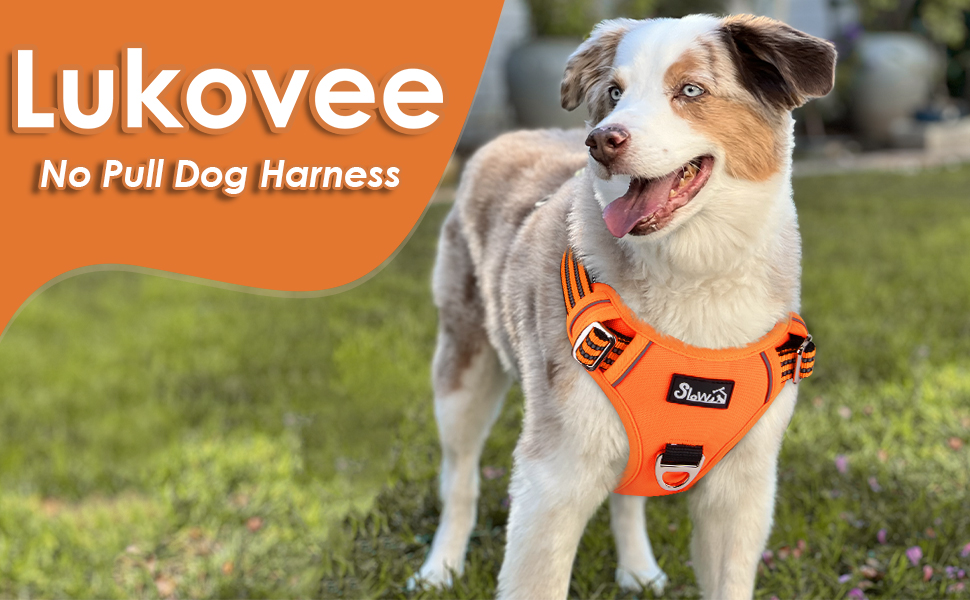 Lukovee No Pull Dog Harness, No Choke Pet Harness with 2
