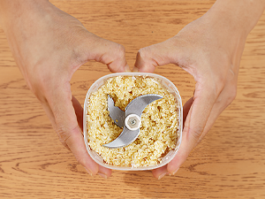 COSTAR Mini Electric Chopper